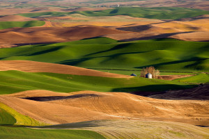 C罗替补席感慨万千，37岁总裁的最后一届世界杯，会有奇迹吗